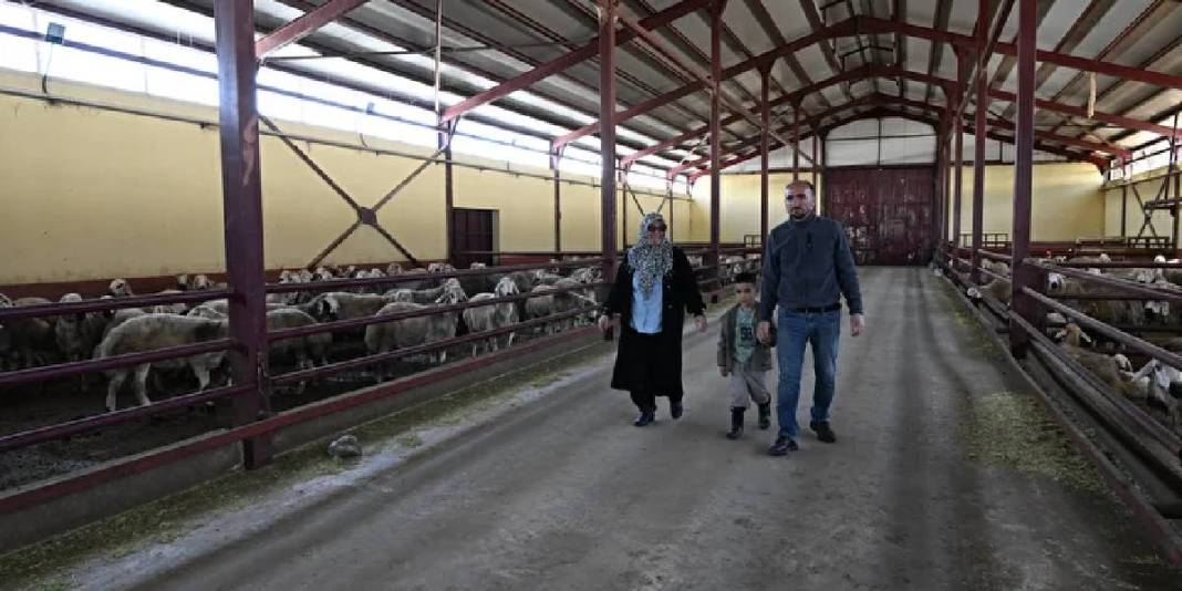 Muhasebecilikten patronluğa geçti: Devlet destekledi sürüsü 103’ten 800’e çıktı 4